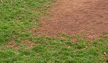 Put the bounce back into your pitch